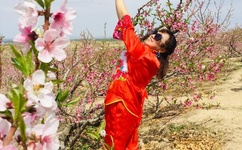 一品道一卡二卡三卡麻豆